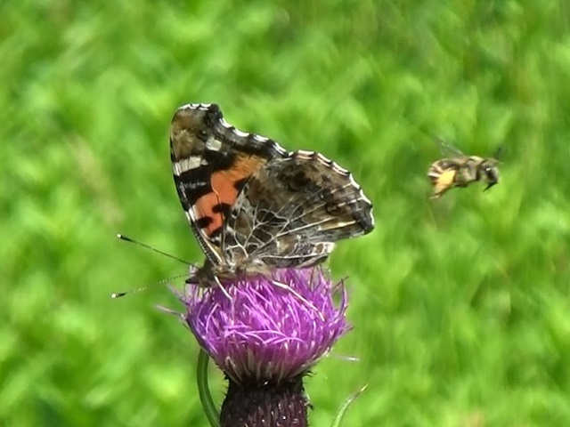 �`���E�`��