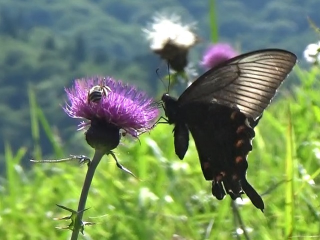 �`���E�`��