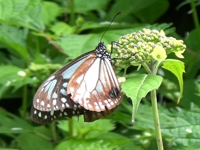 �`���E�`��