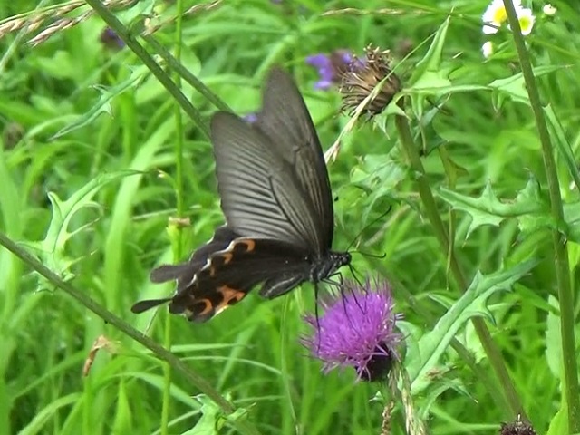 �`���E�`��