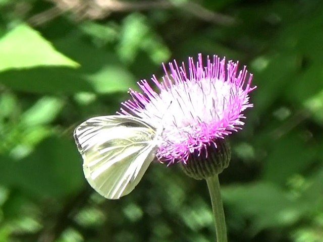 �`���E�`��