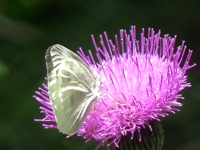 �`���E�`��