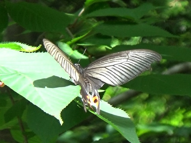 �`���E�`��