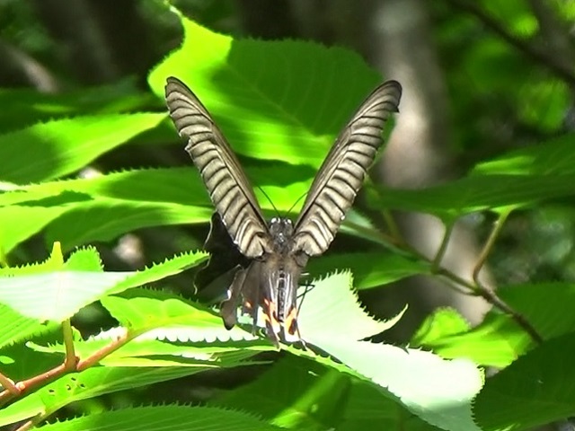 �`���E�`��