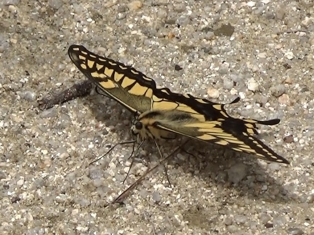 �`���E�`��