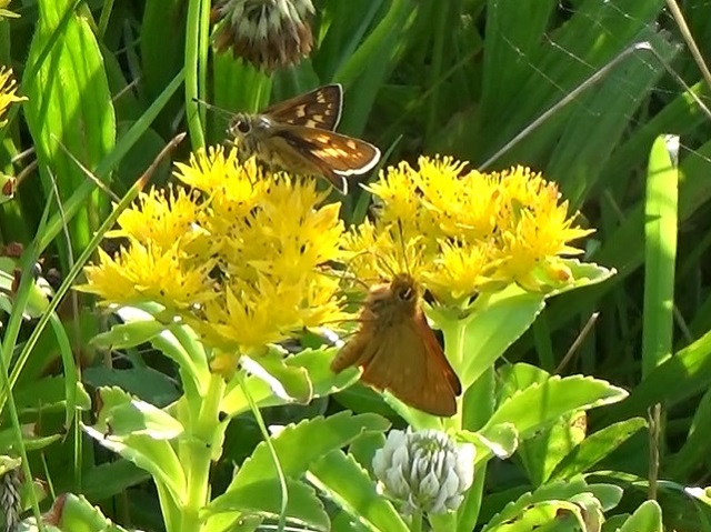 �`���E�`��