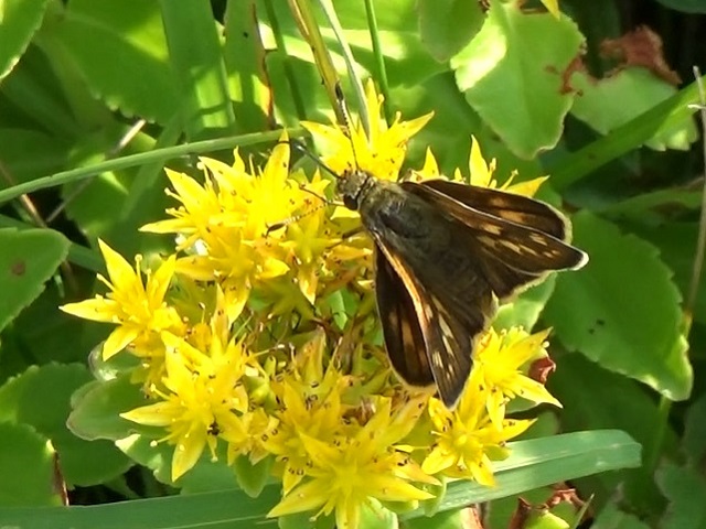 �`���E�`��