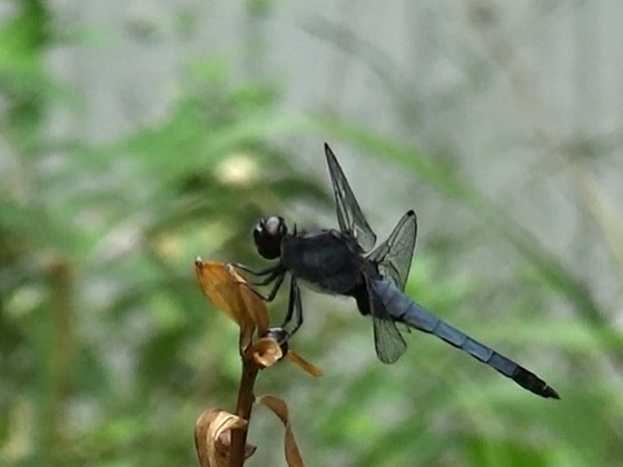 �`���E�`��