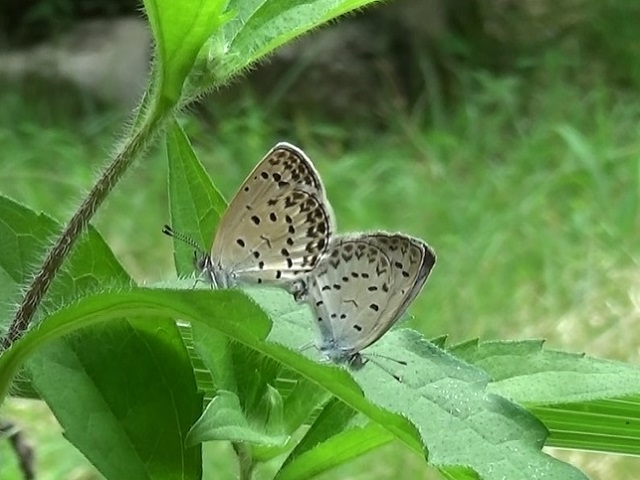 �`���E�`��