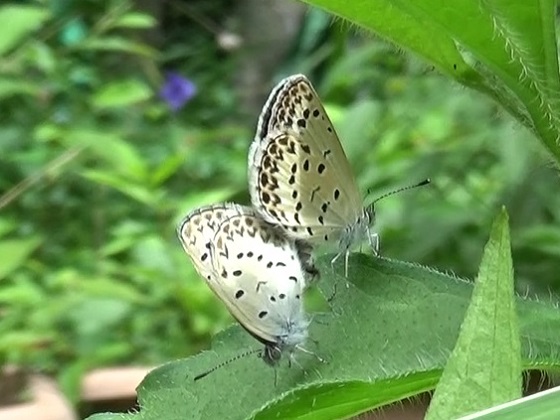 �`���E�`��