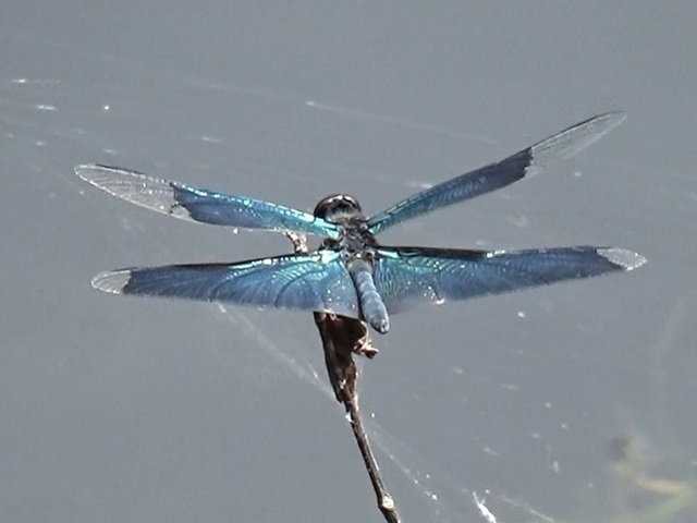 �`���E�`��