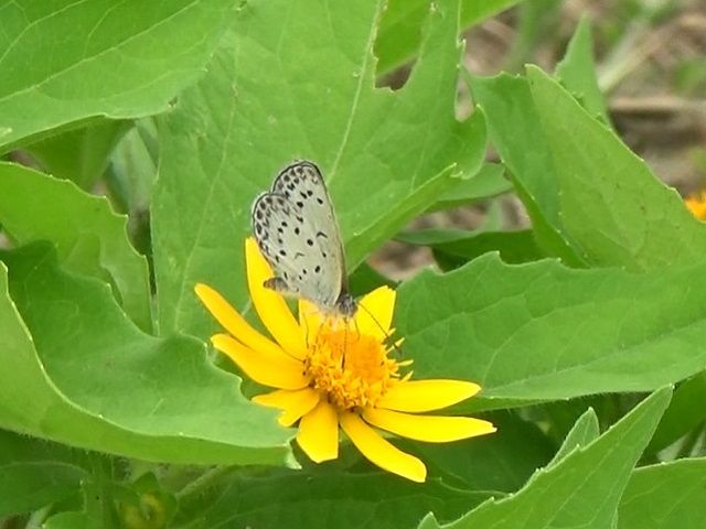 �`���E�`��