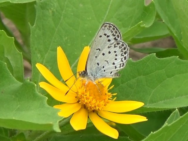 �`���E�`��