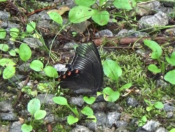 �`���E�`��