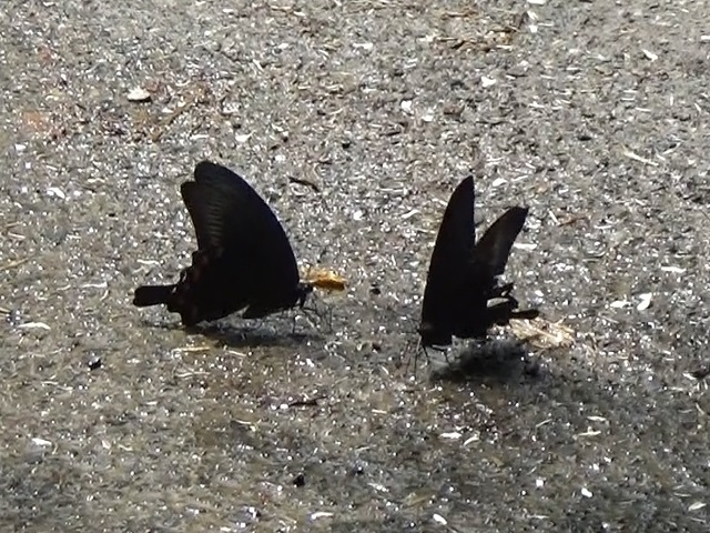 �`���E�`��