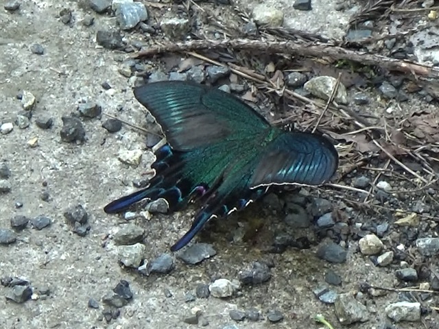 �`���E�`��