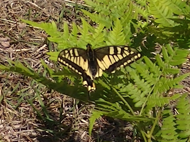 �`���E�`��