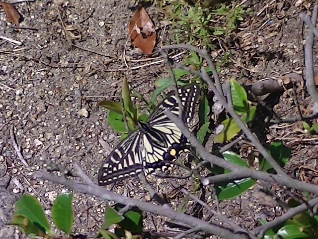 �`���E�`��