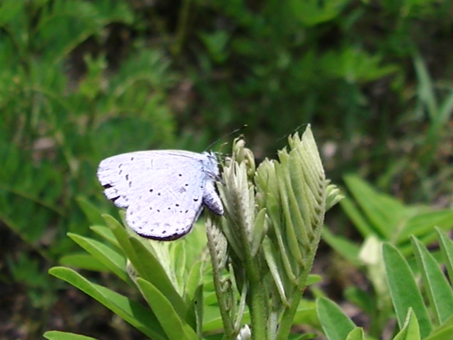 �`���E�`��