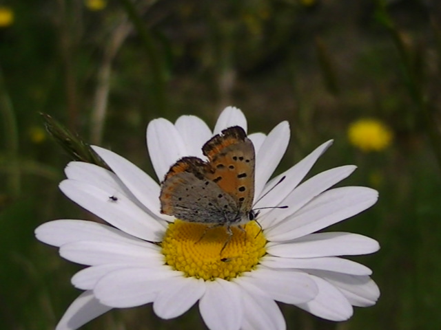 �`���E�`��