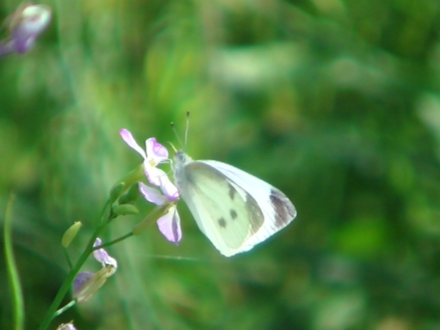 �`���E�`��