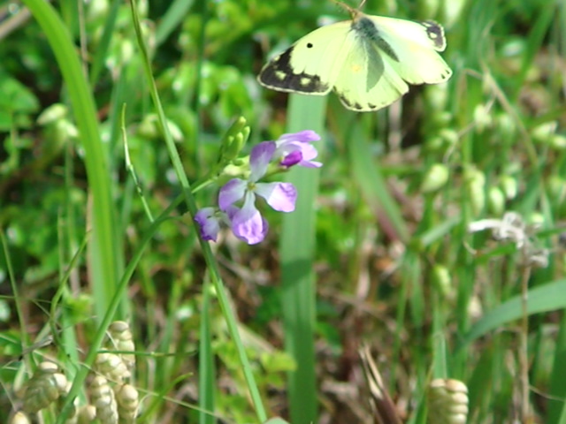 �`���E�`��