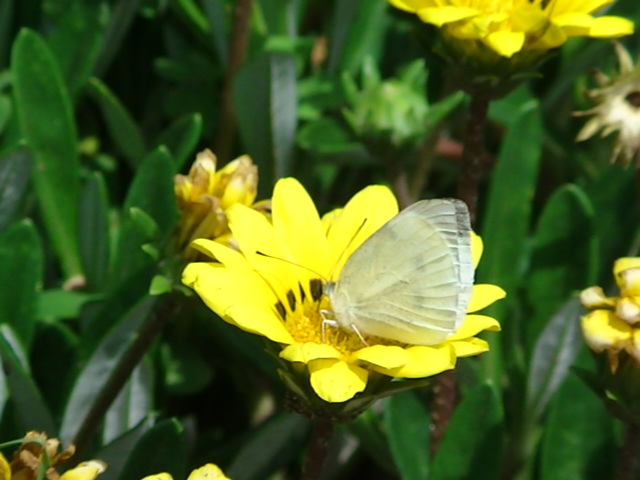 �`���E�`��