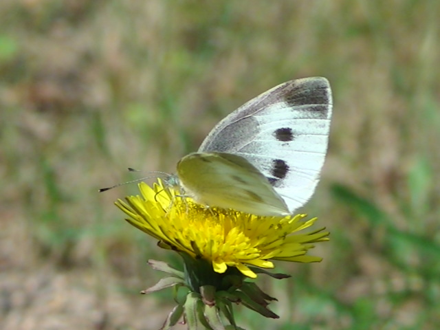 �`���E�`��