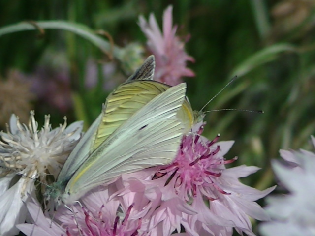 �`���E�`��