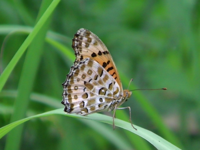 �`���E�`��