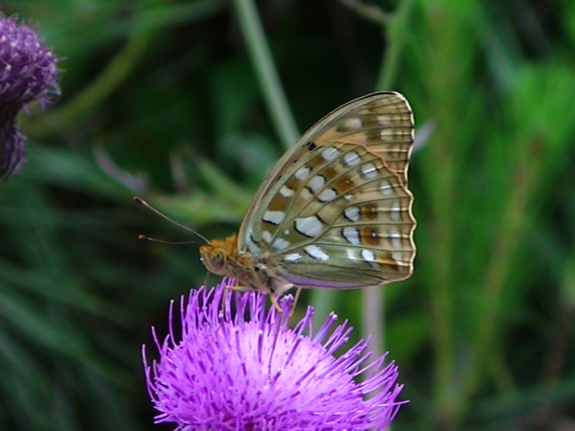 �`���E�`��