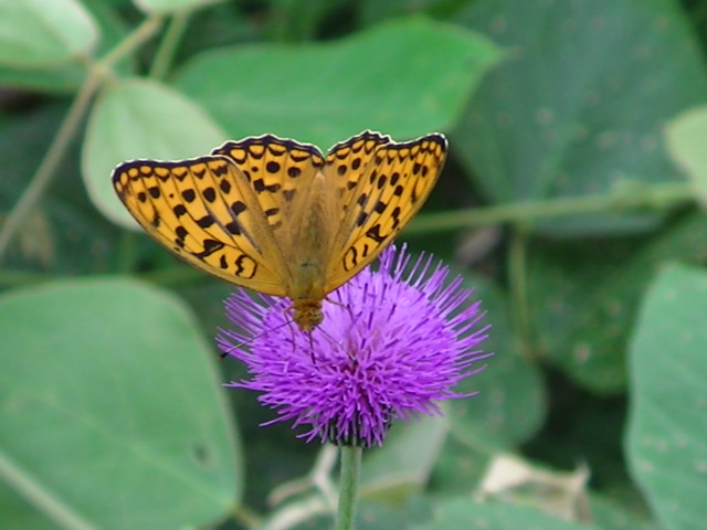 �`���E�`��