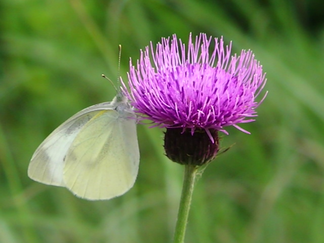 �`���E�`��