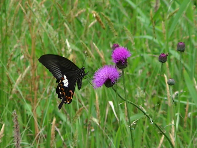 �`���E�`��