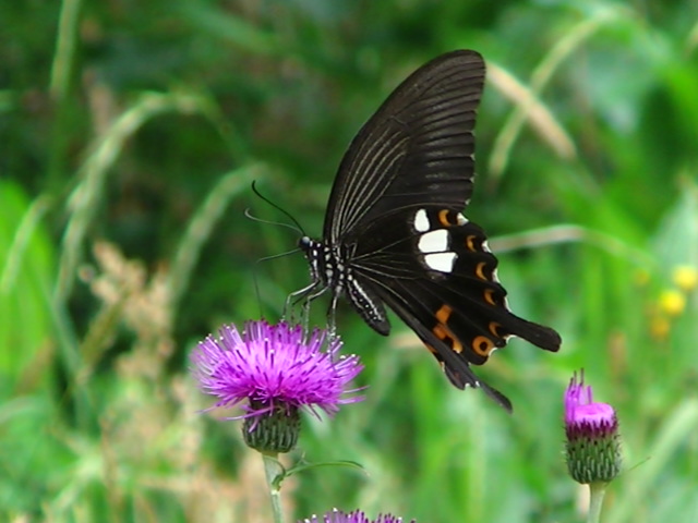 �`���E�`��