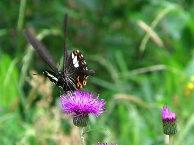 �`���E�`��