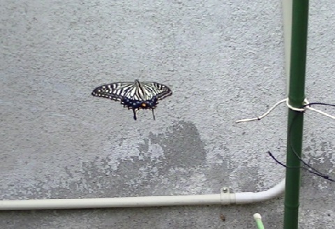 �`���E�`��