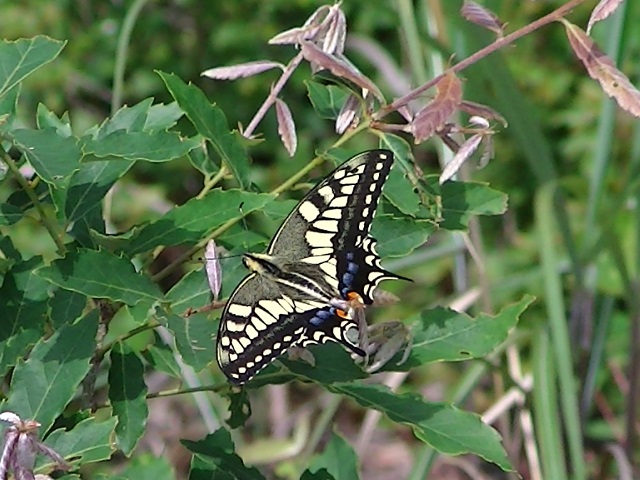 �`���E�`��