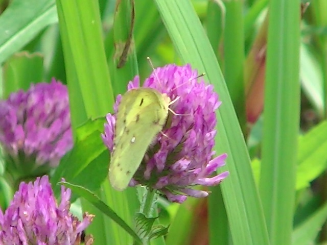 �`���E�`��