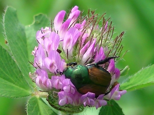 �`���E�`��