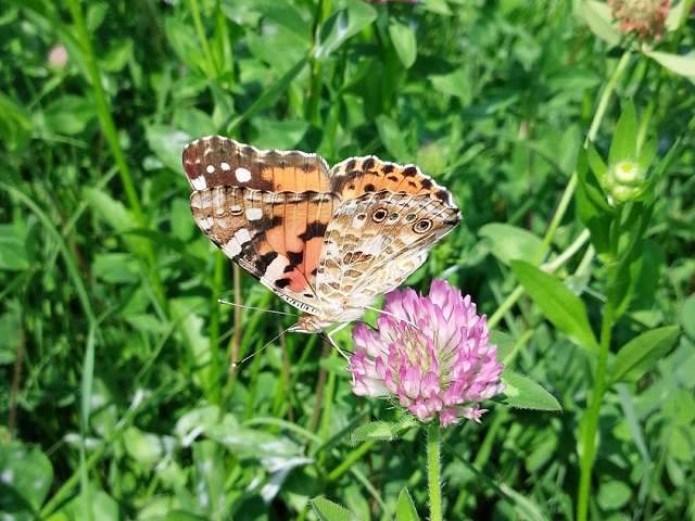 �`���E�`��