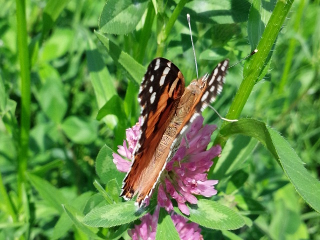 �`���E�`��