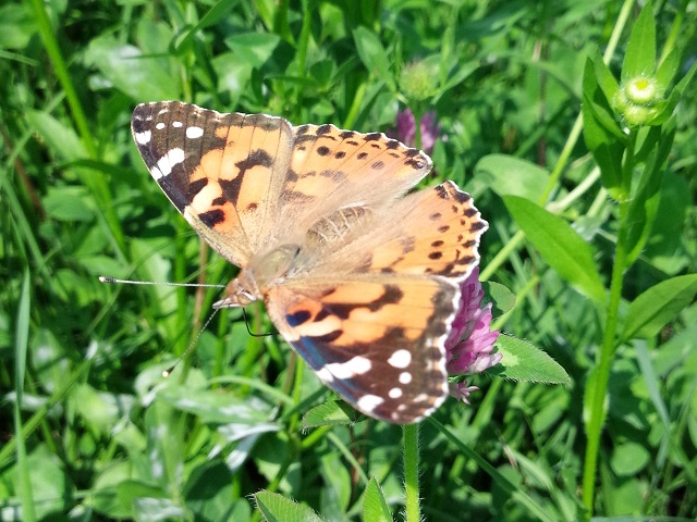 �`���E�`��