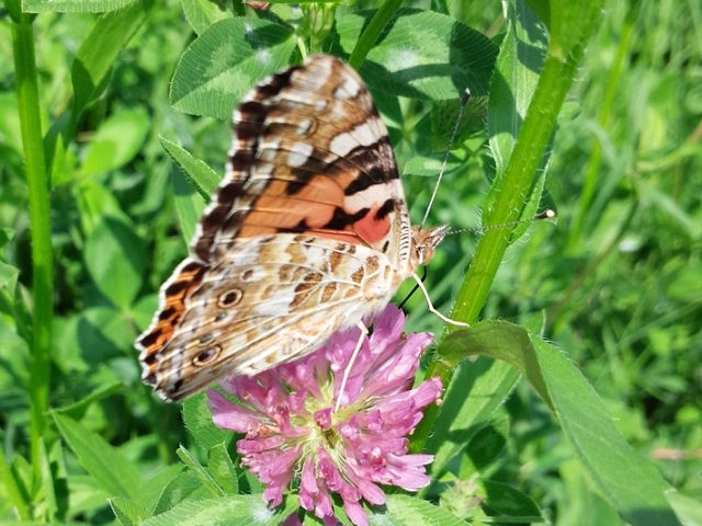 �`���E�`��