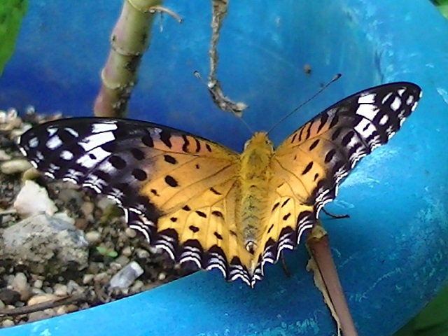 �`���E�`��