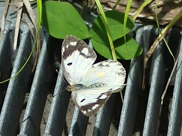 �`���E�`��