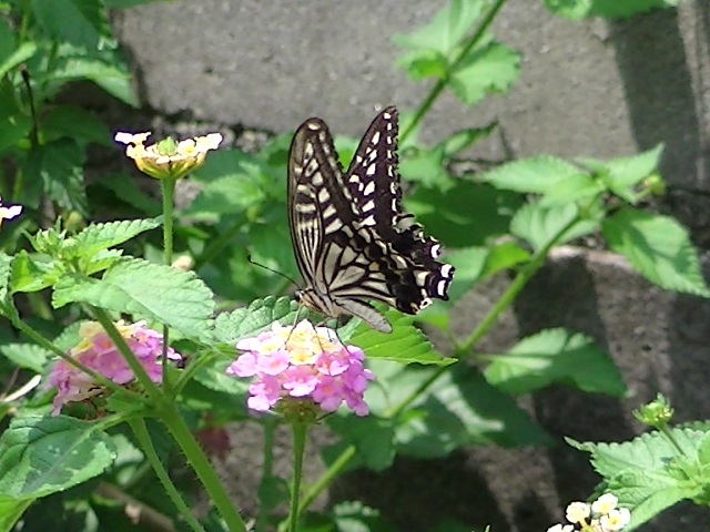 �`���E�`��