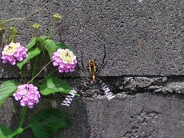 �`���E�`��