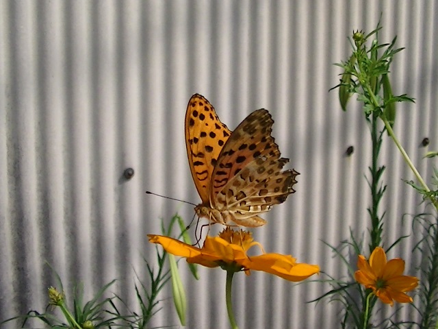 �`���E�`��