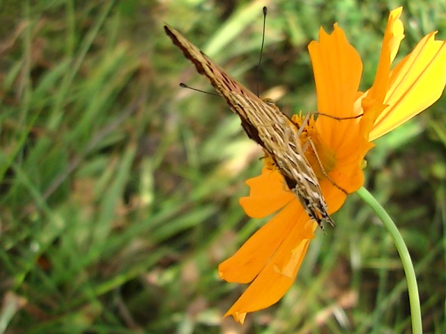 �`���E�`��